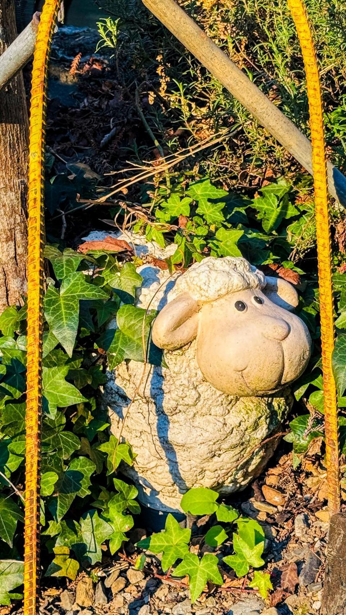 רן-איי 31 Homestay מראה חיצוני תמונה
